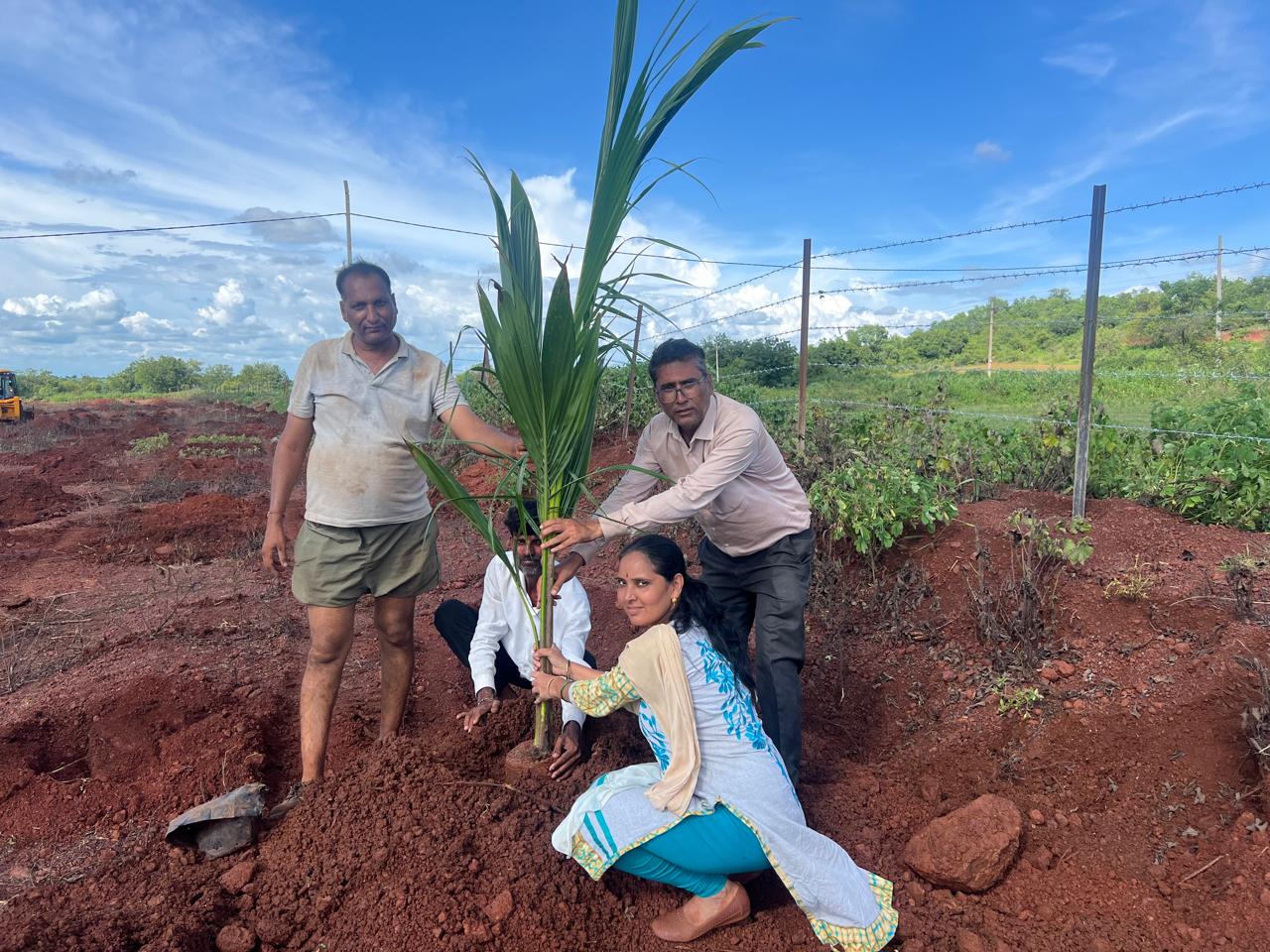 Tree plantation