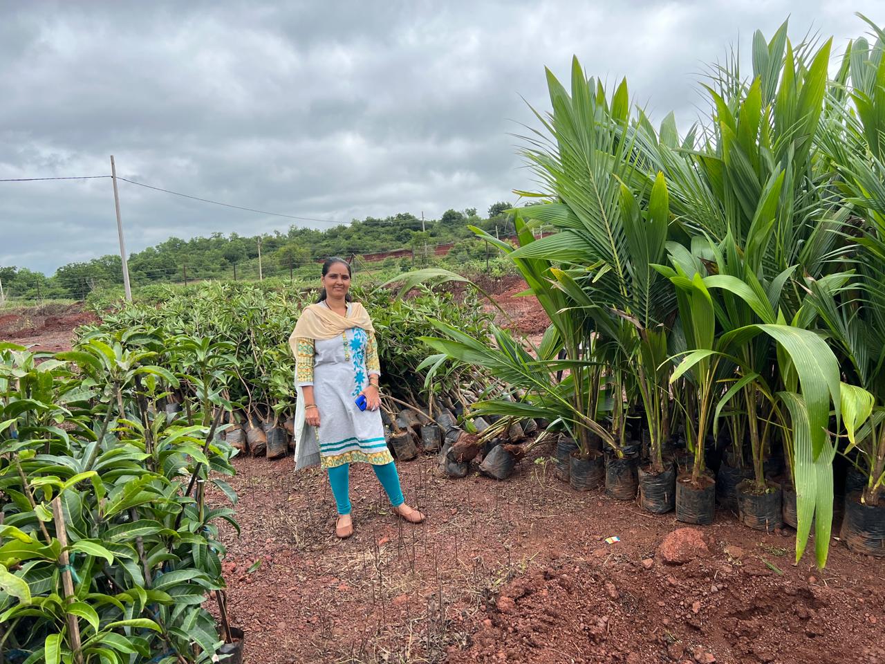 1000 trees planted