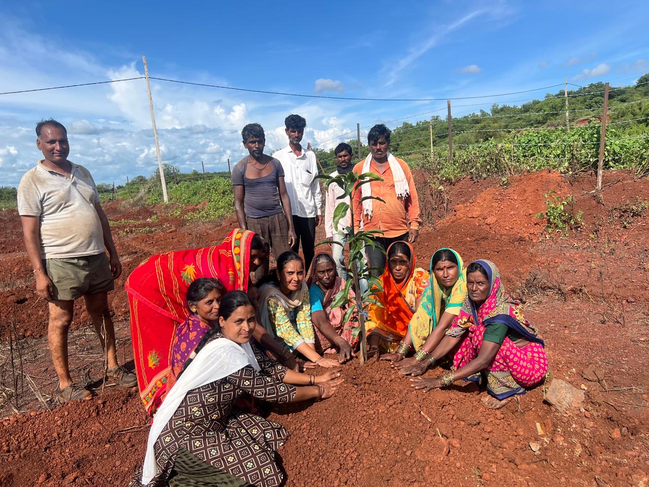 Trees plantation by the secretary of trust along with workers at Kasarsirsi Tq. Nilanga Dist Latur